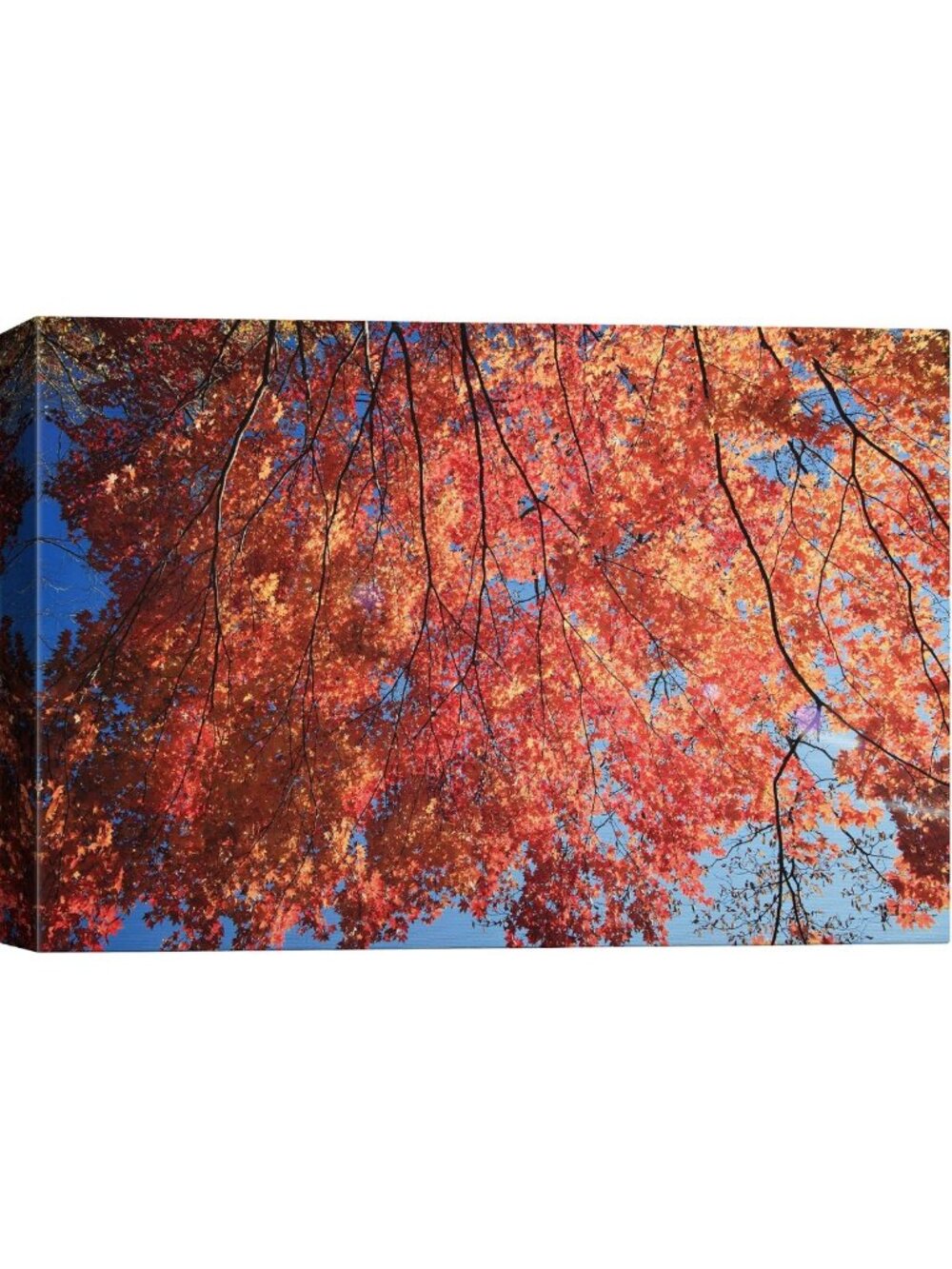 Vibrant Autumn Tree Canvas Art - Neon Orange Yellow Nature Print for Home Decor